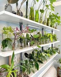 Indoor Gardening