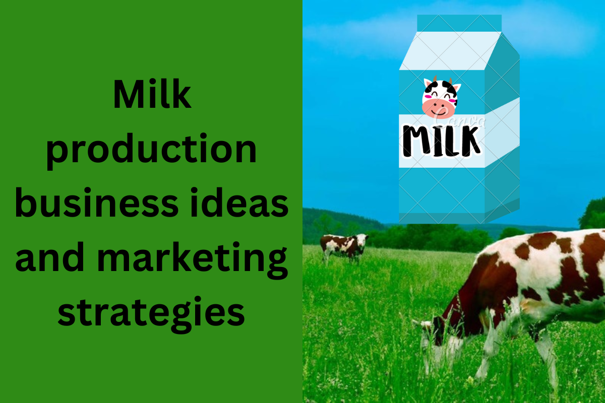 Milk production business ideas and marketing strategies