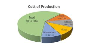 Milk Production Business Concept