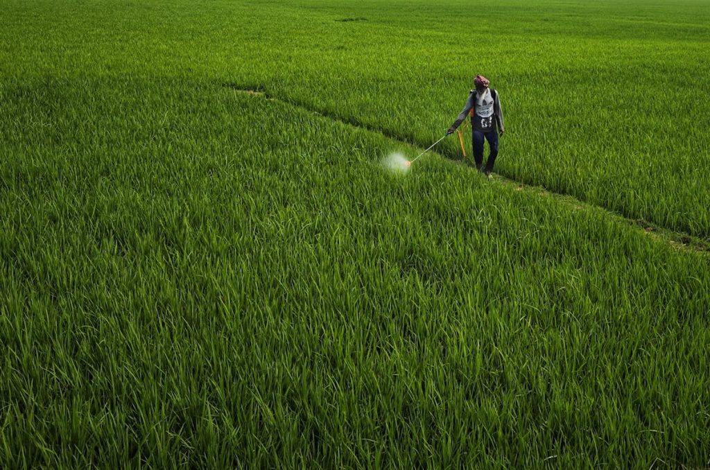 weed control