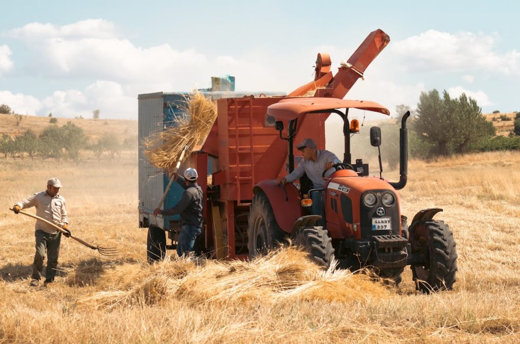 Status of wheat production