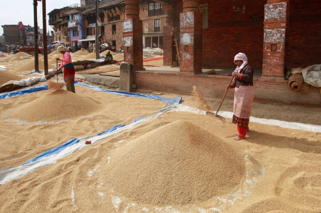 Wheat production process